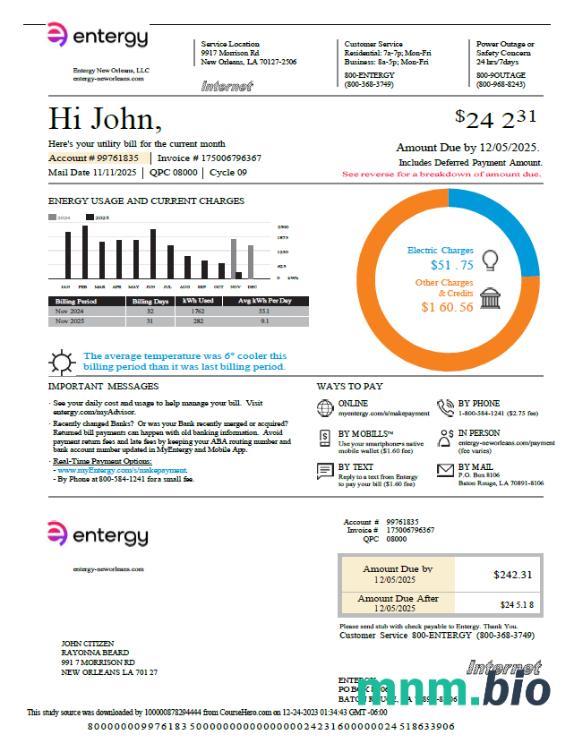 Szablon rachunku za media Entergy USA w formatach Word i PDF, Wersja 2